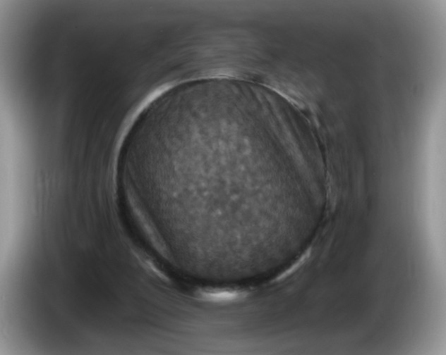 X0000086250200200704121958