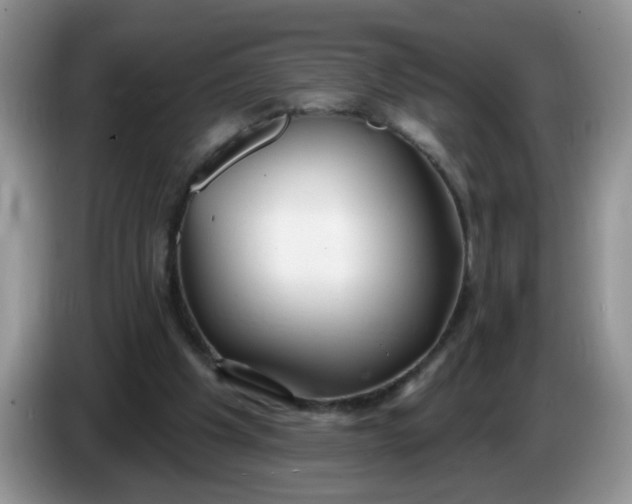 X0000086250201200704121958