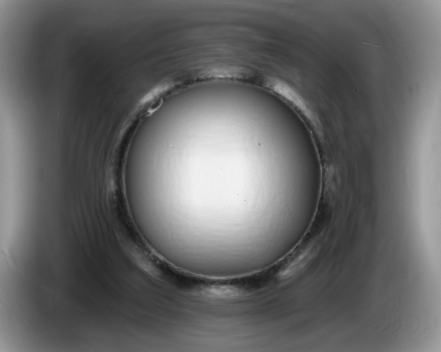 X0000086250203200704121958