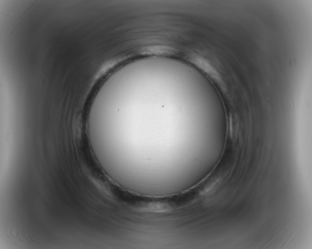 X0000086250204200704121958