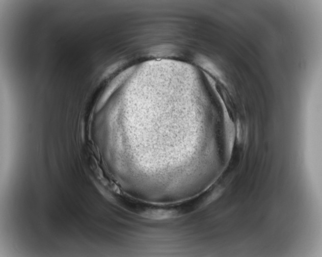 X0000086250205200704121958