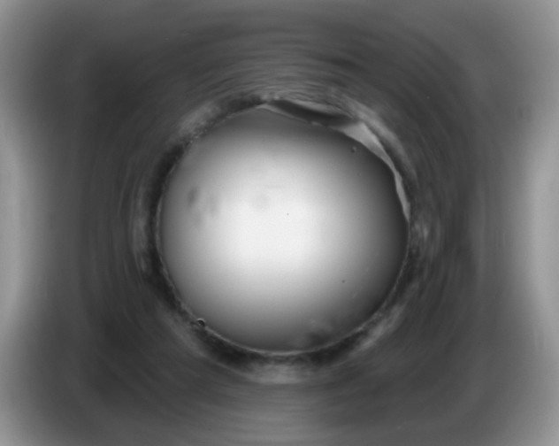 X0000086250209200704121958