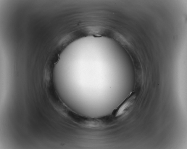 X0000086250215200704121958
