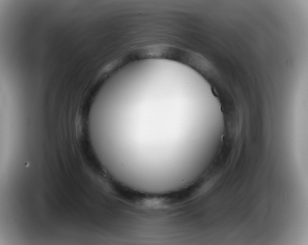 X0000086250216200704121958