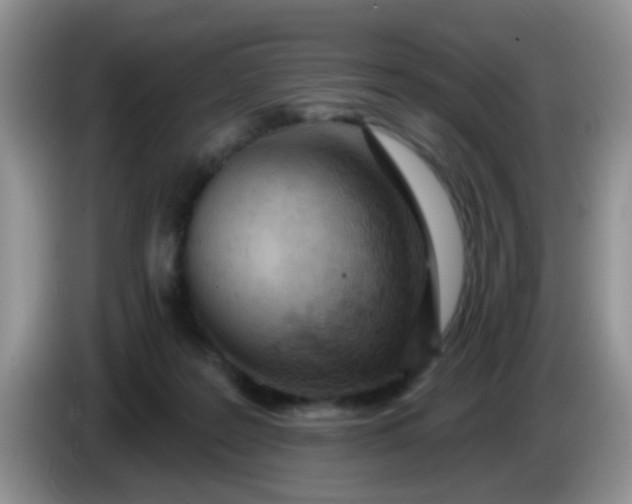 X0000086250219200704121958
