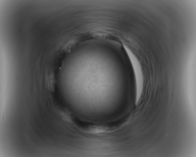X0000086250223200704121958