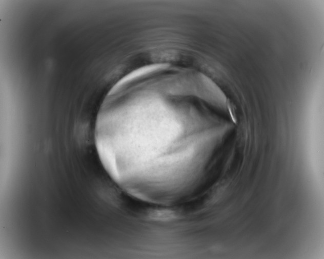X0000086250224200704121958