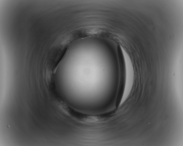 X0000086250227200704121958