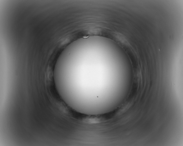 X0000086250228200704121958