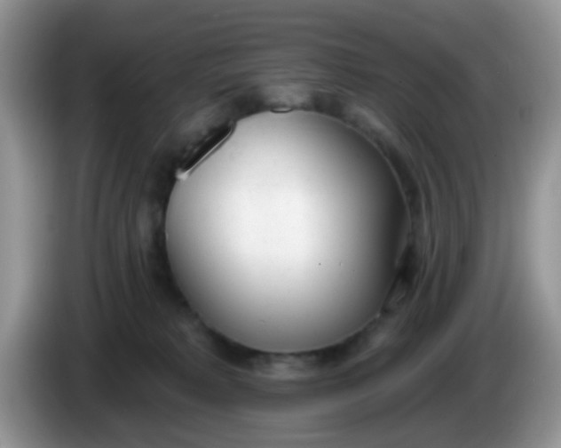 X0000086250229200704121958