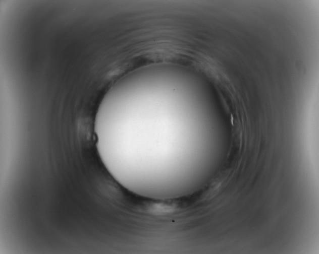 X0000086250232200704121958