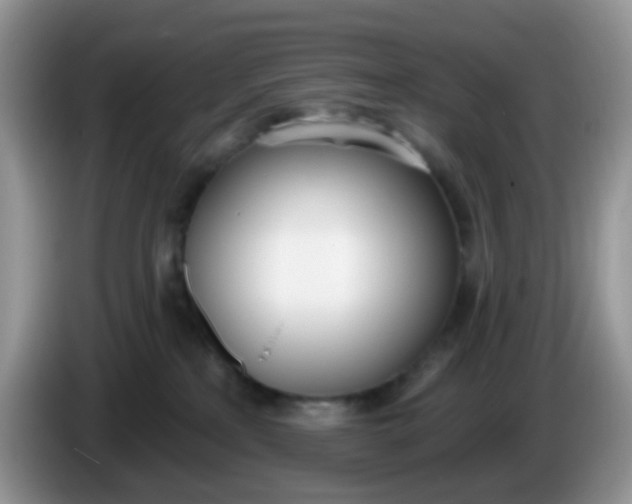 X0000086250233200704121958