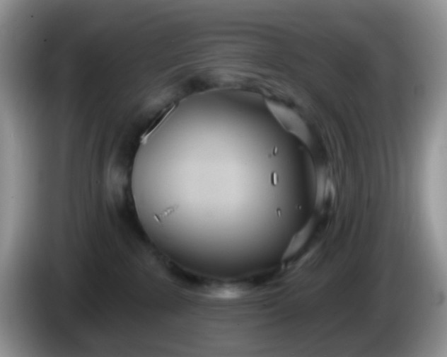 X0000086250235200704121958