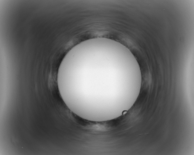 X0000086250236200704121958
