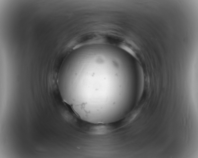 X0000086250237200704121957