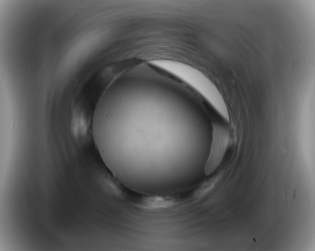 X0000086250239200704121957