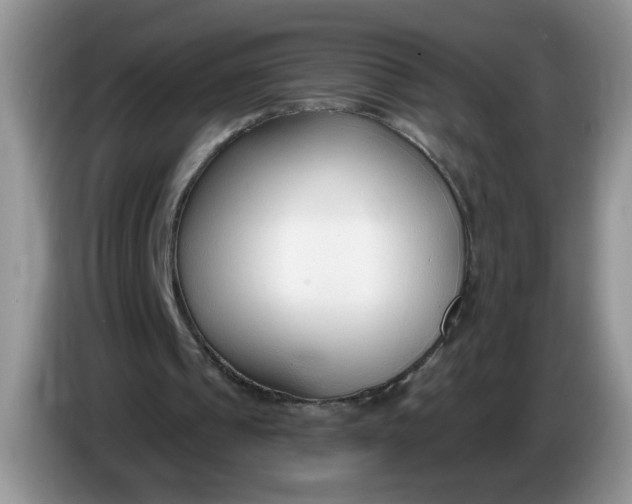 X0000086250241200704121957