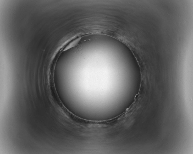 X0000086250242200704121957