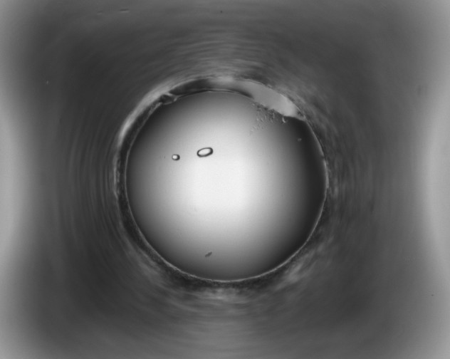 X0000086250244200704121957
