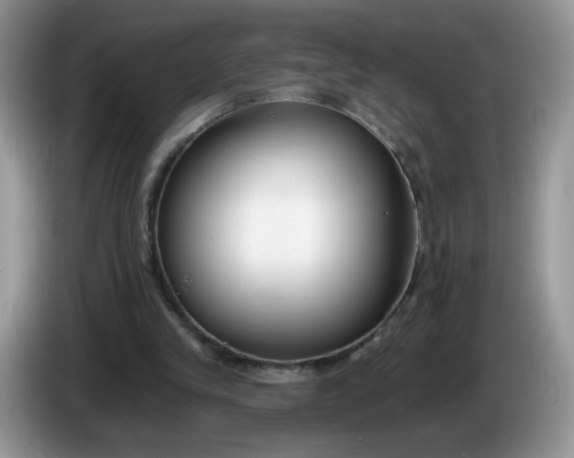 X0000086250245200704121957