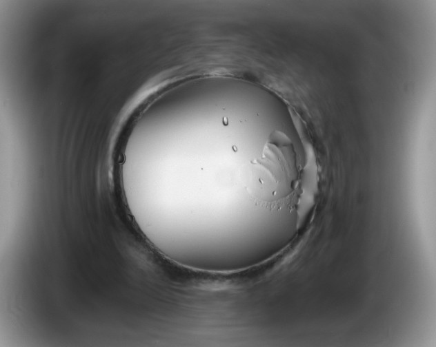 X0000086250246200704121957