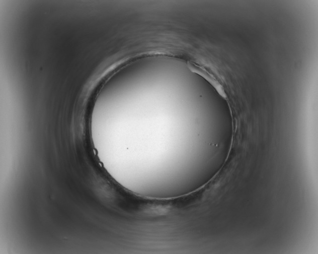 X0000086250247200704121957