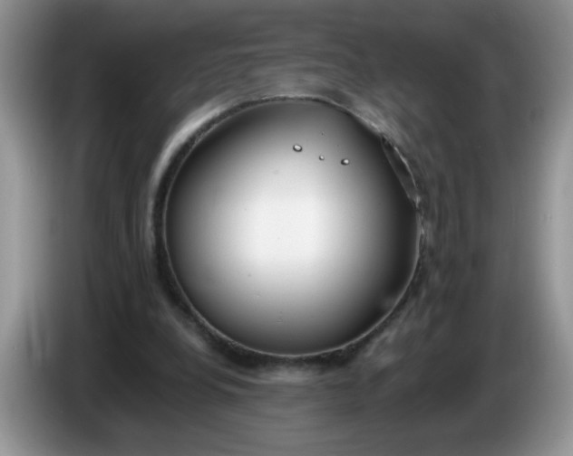 X0000086250248200704121957