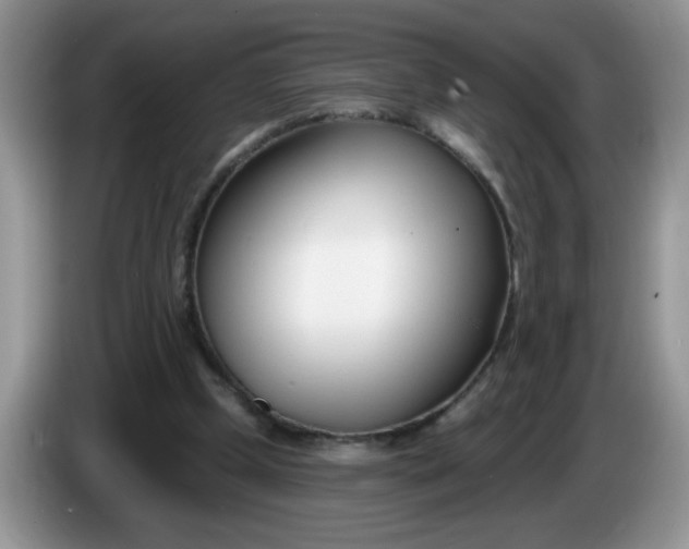 X0000086250249200704121957