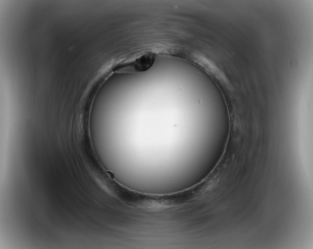 X0000086250250200704121957