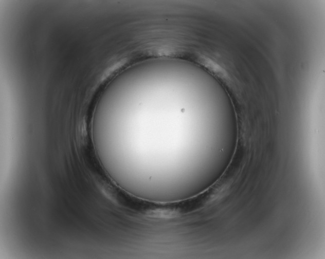 X0000086250251200704121957
