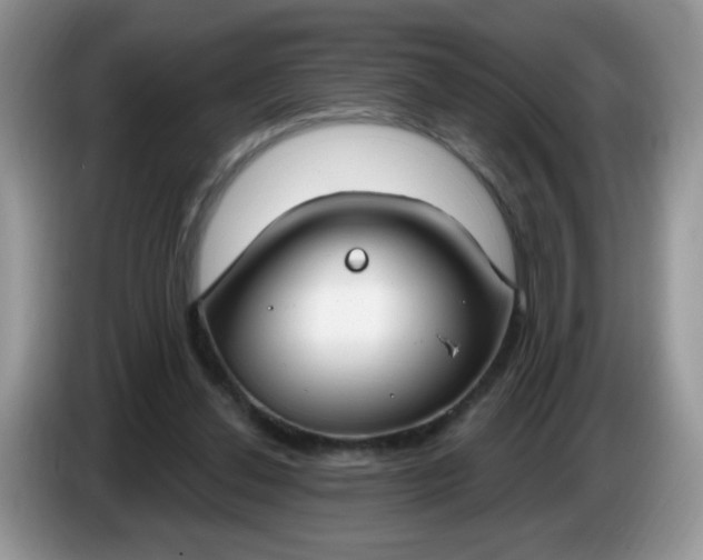 X0000086250252200704121957