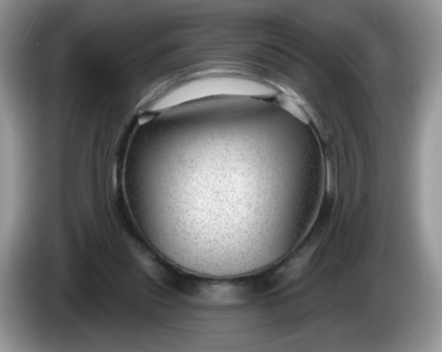X0000086250253200704121957