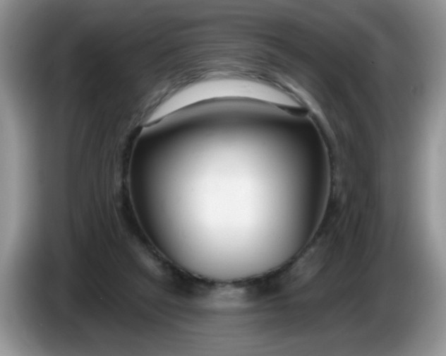 X0000086250257200704121957
