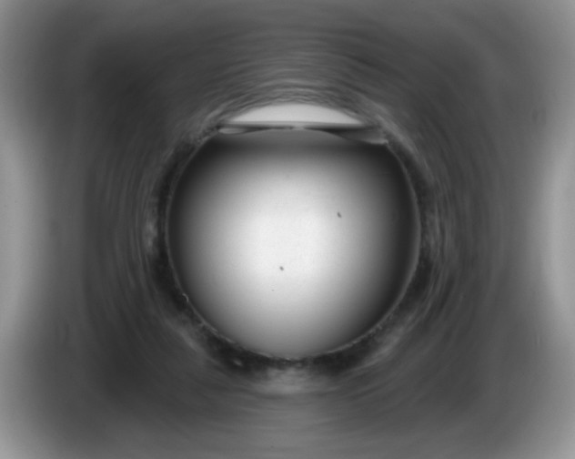 X0000086250259200704121957