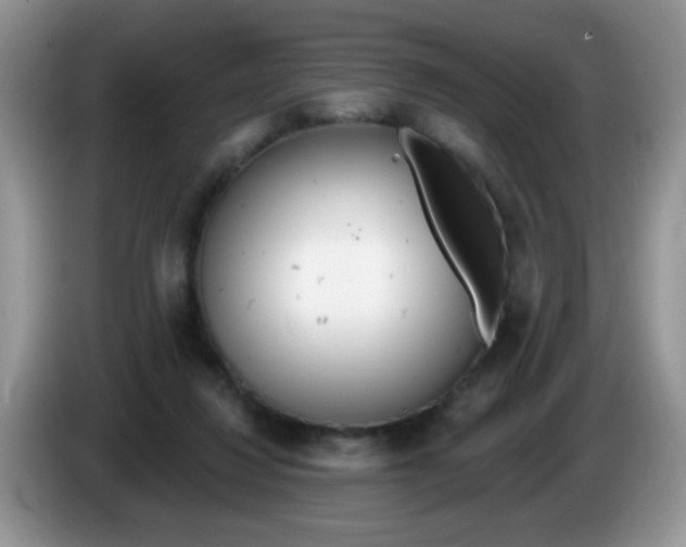 X0000086250260200704121957