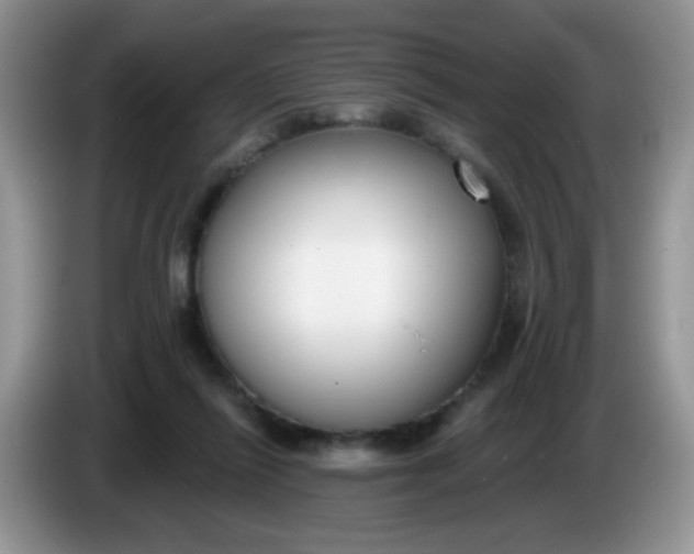 X0000086250262200704121957