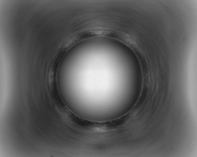 X0000086250263200704121957