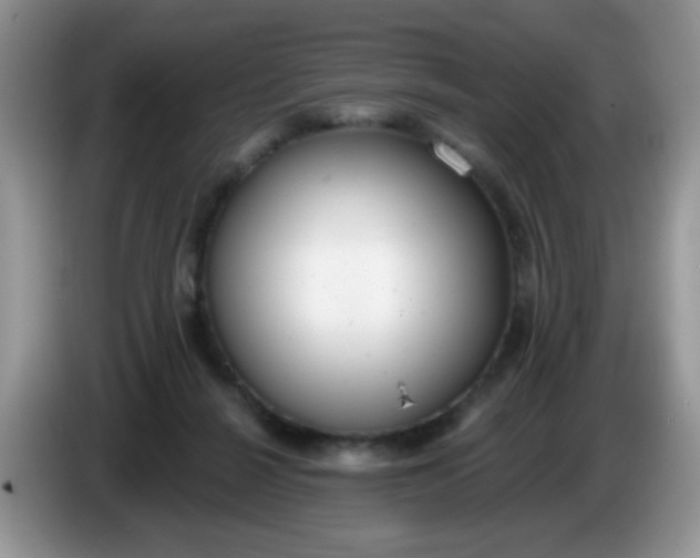 X0000086250264200704121957
