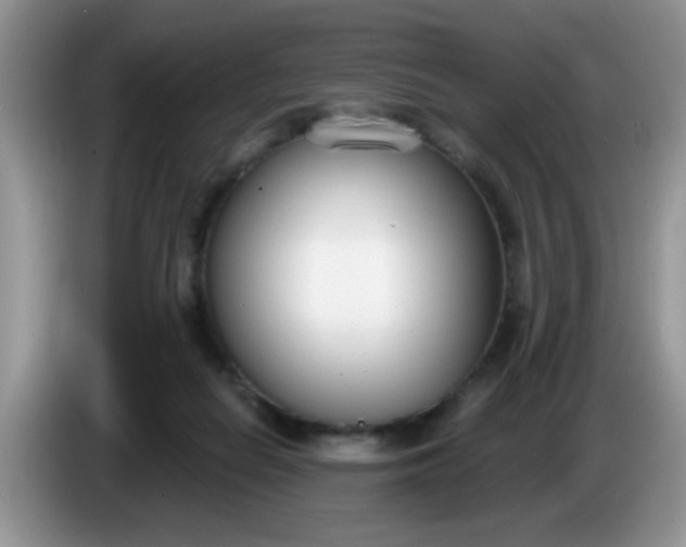 X0000086250266200704121957