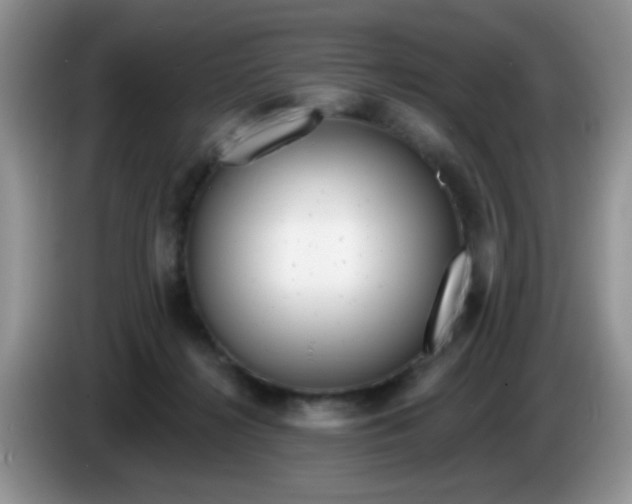 X0000086250268200704121957