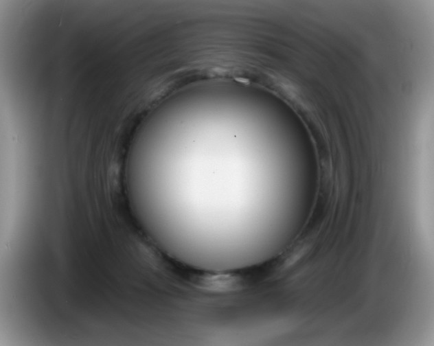 X0000086250269200704121957