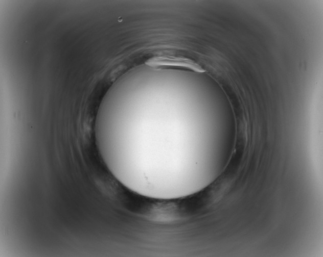 X0000086250271200704121957