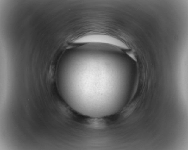 X0000086250273200704121957