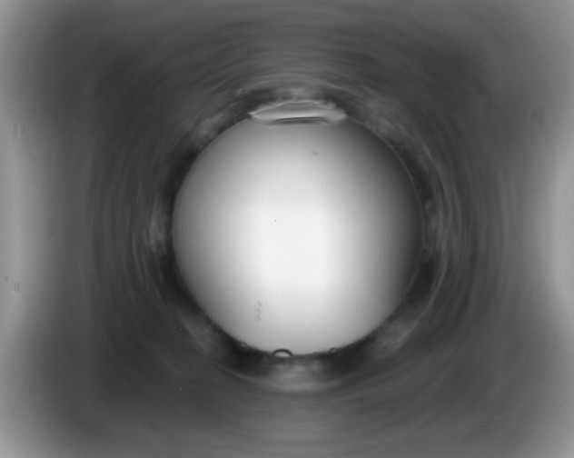 X0000086250274200704121957