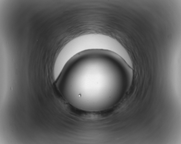 X0000086250276200704121957