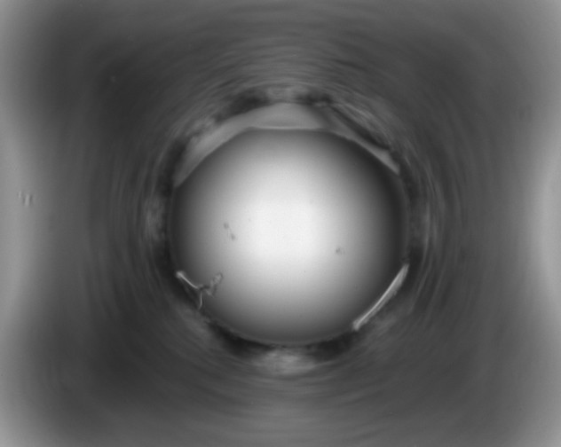 X0000086250280200704121957