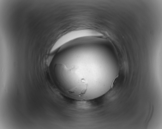 X0000086250281200704121957