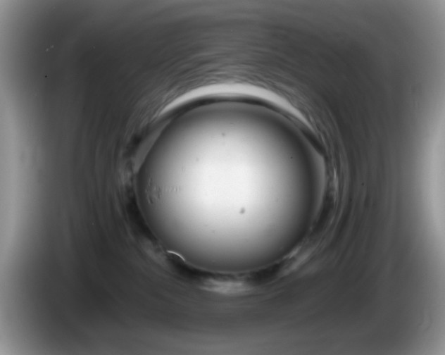 X0000086250284200704121957