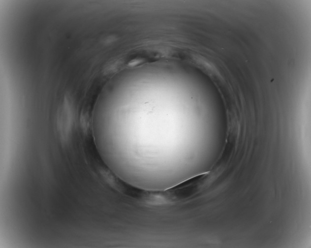X0000086250285200704121957