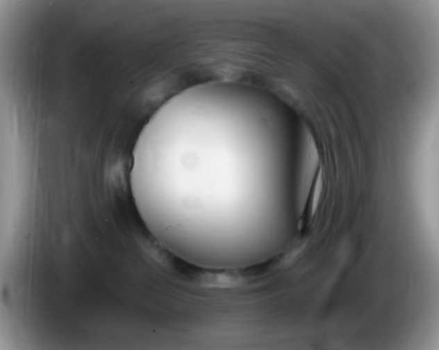 X0000086250286200704121957